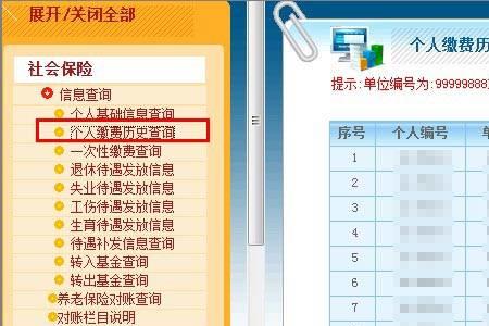 怎么查询农村社保缴纳情况