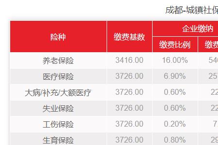 四川社保网上补缴流程