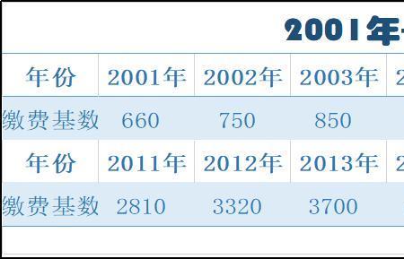 个人缴费指数怎样查询