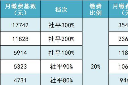 2022灵活就业社保缴费明细表