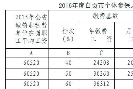 农村保险算个人参保吗