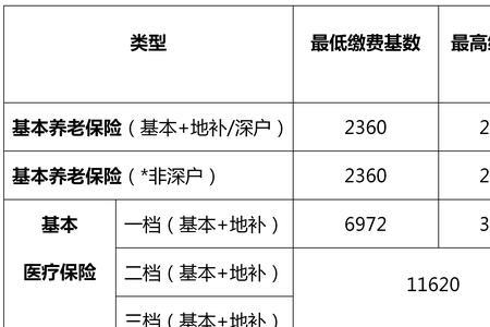 一般公司交的社保是几档