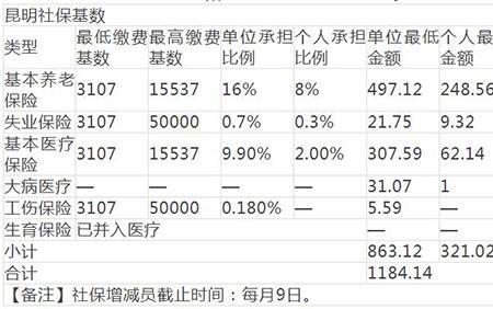 2022年社保个人缴费比例