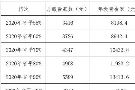 四川医保2023年缴费时间