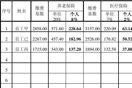 怎么查农村社保缴费明细表