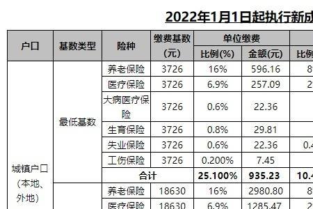 2022成都灵活就业社保险缴费档次