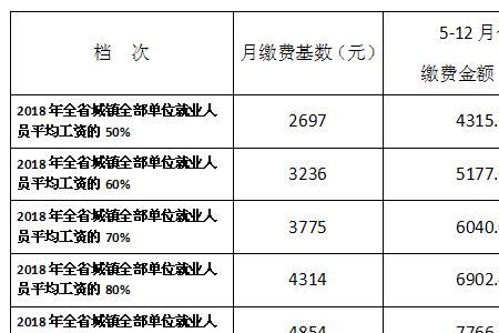 四川养老保险档次一览表