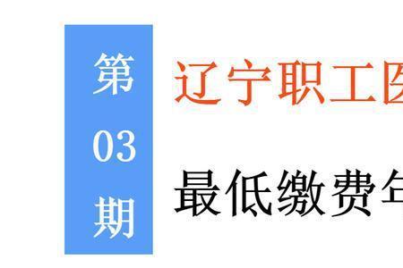 2022年度沈阳居民医保缴费方式