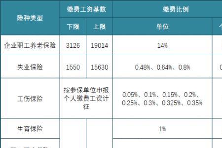 汕头买个人社保