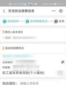 武汉支付宝缴社保费用怎么交