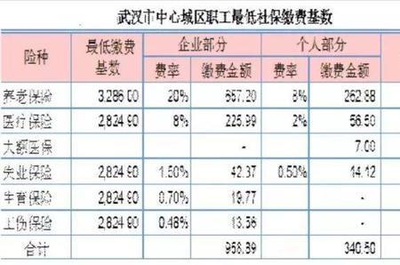 为什么社保缴费显示没有数据