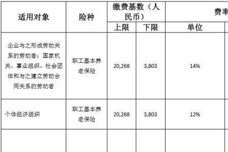 广东全额社保要交多少钱