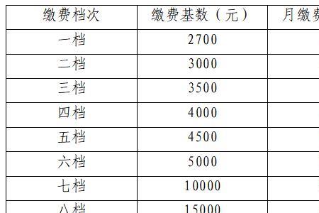 深圳灵活就业交社保哪一档好