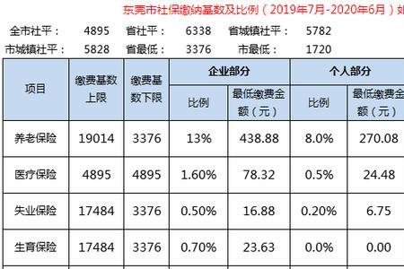 东莞社保怎么查询不了缴费记录