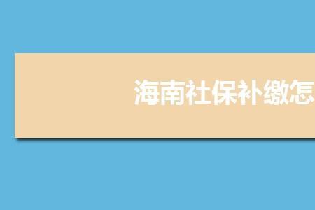 海南省个人社保每月交多少