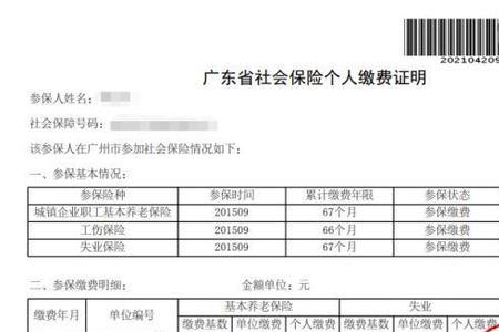 中山市2022社保缴费明细怎么查