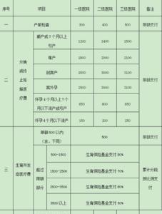 重庆怎样查询生育险是否缴纳