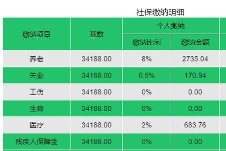 上海社保2万基数交养老金多少