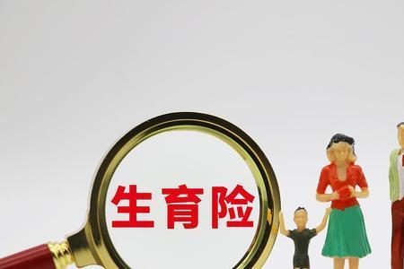 为什么长沙社保查不到生育保险