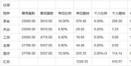 15号交的社保几号能查出来