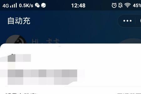 企业支付宝可以开通自动充吗