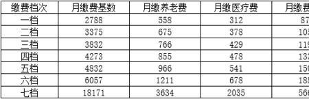 江苏缴费基数5500属于几档