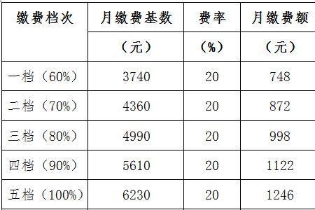 灵活就业社保8000基数个人交多少