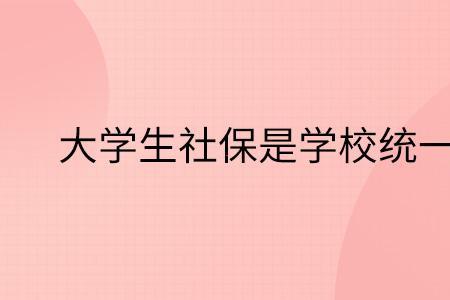 为什么学生保险社保老师都要管