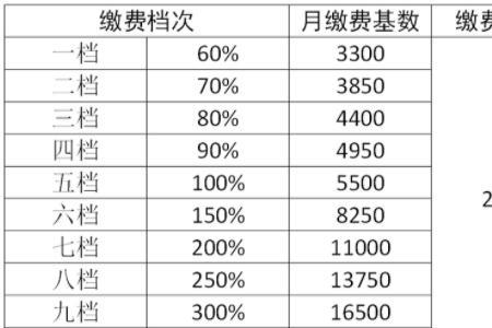 2022上海灵活就业缴费时间