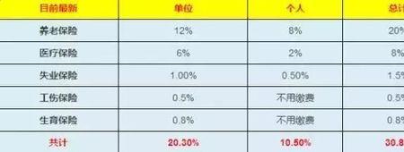 个人交五险二百多单位交多少