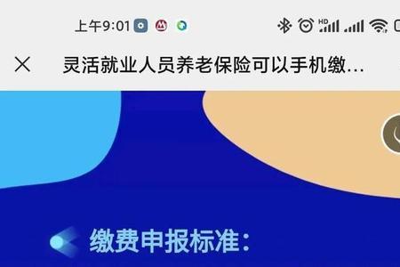 陕西养老金个人网上年检时间