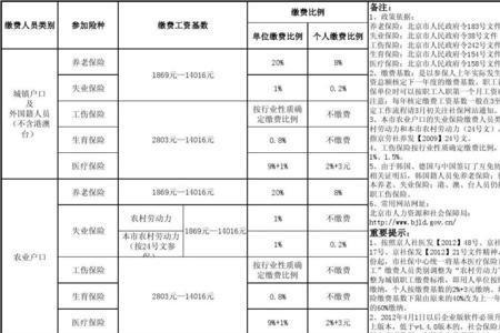 5300基数社保每月交多少