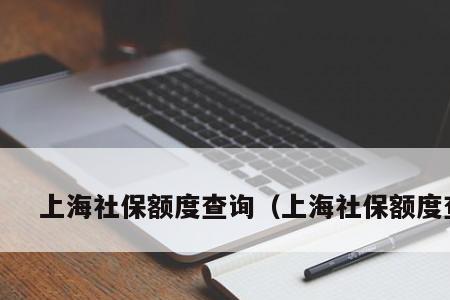 上海宝宝的社保怎么办理