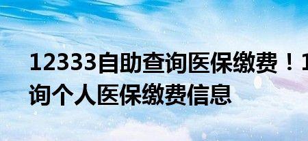 个人医保缴费查询12333入口