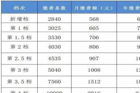 安徽社保100档交15年能领多少