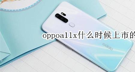 oppoa11x如何关闭开发者模式