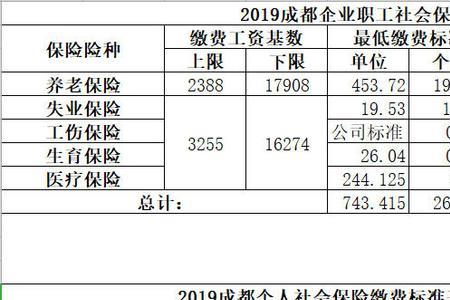 成都灵活就业可以改缴费档次吗