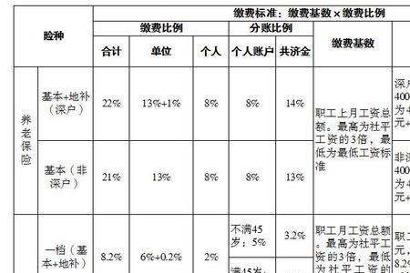 社保公积金汇总是什么意思