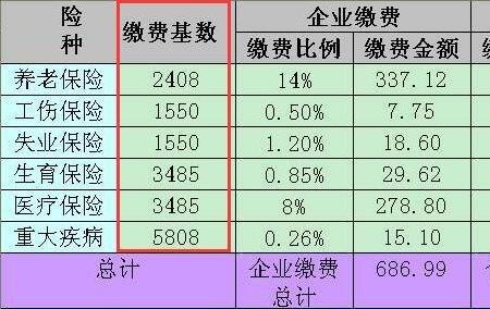 社保基数19000个人交多少