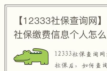 12333怎么查不到社保缴费记录