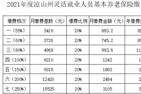 21年灵活就业人员社保交费标准