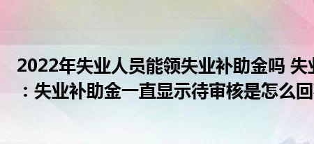 没交过社保可以领失业补助金吗