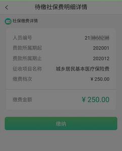 农村合作医疗怎么查询缴费详情