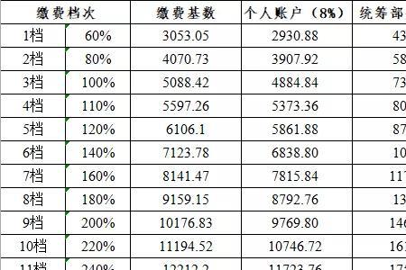 社保缴费总额是什么