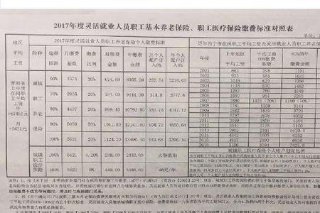 四川灵活就业个人缴费标准