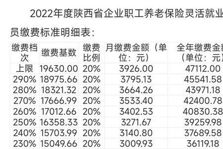 个人实际缴费指数计算公式