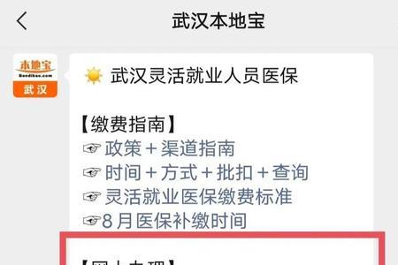 鄂汇办怎么交武汉小孩医保