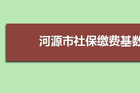 沈阳社保个人补缴网上怎么办理