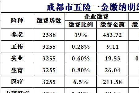 成都买社保有什么作用