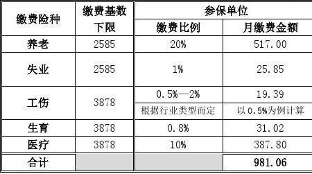 自由人养老保险基数是什么意思